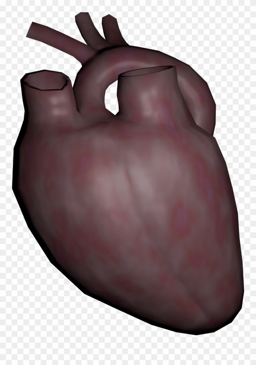 Human Heart Transparent - Vegetable Clipart
