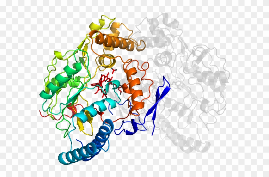 D5vujb In Context Of Pdb - Illustration Clipart