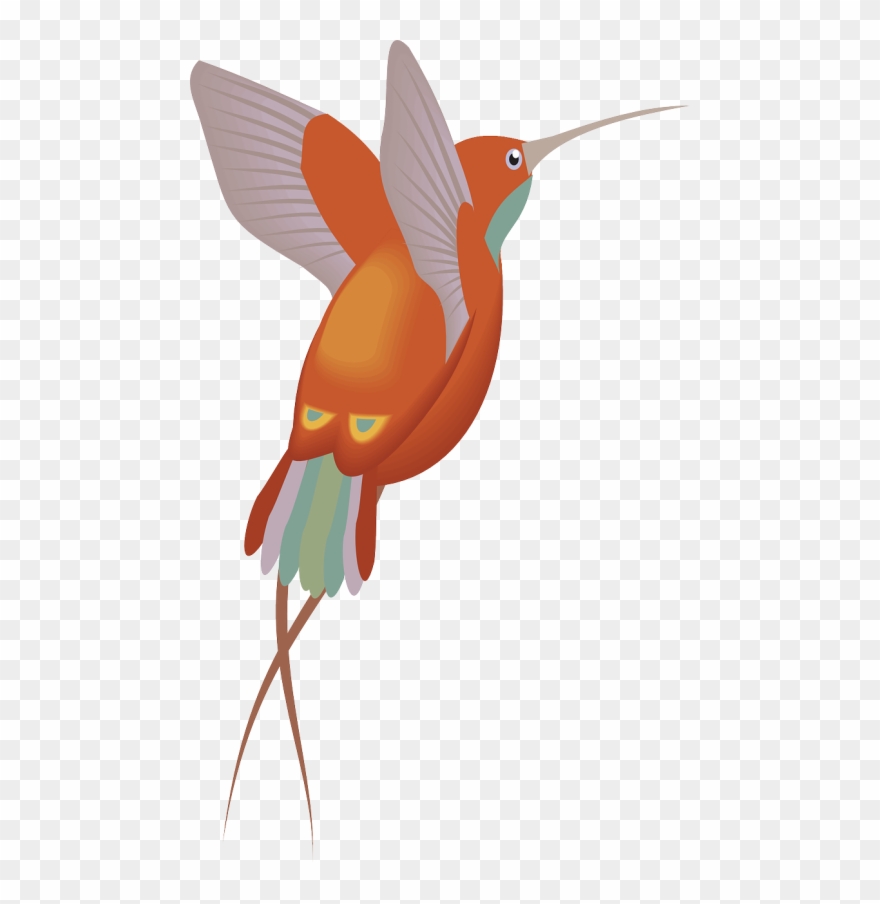 Hummingbird Clipart Hummingbird Flower - Pajaro - Png Download