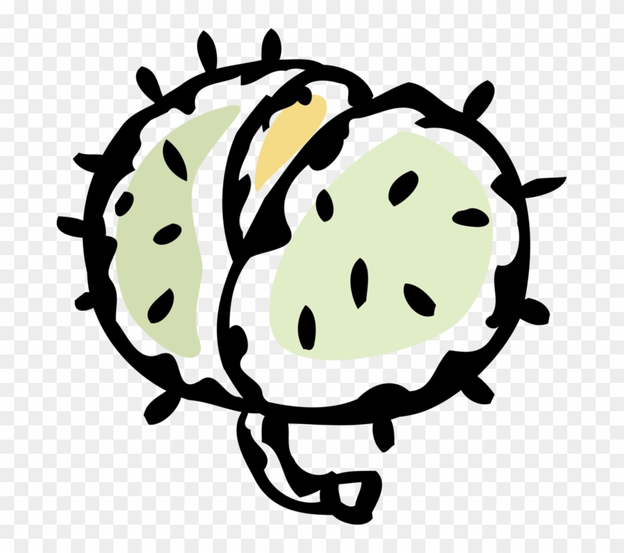 Vector Illustration Of Hard Shell Edible Seed Nut Chestnut Clipart