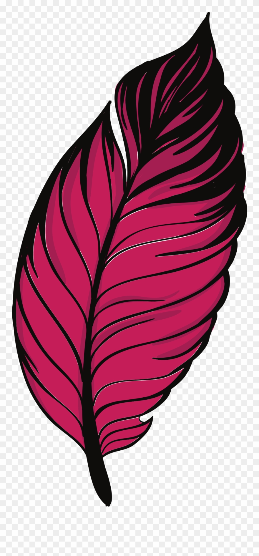Painted Crimson Feather Of Pigeon Clipart