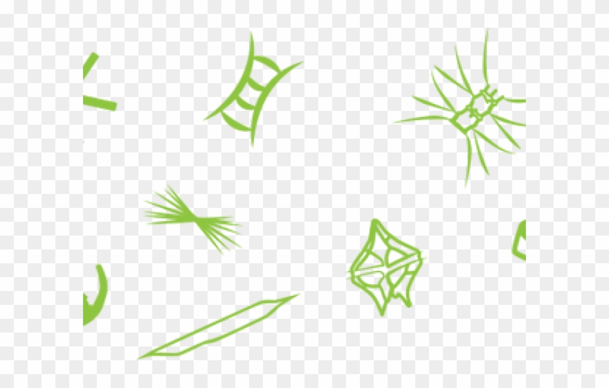 Algae Clipart Algal Bloom - Png Download