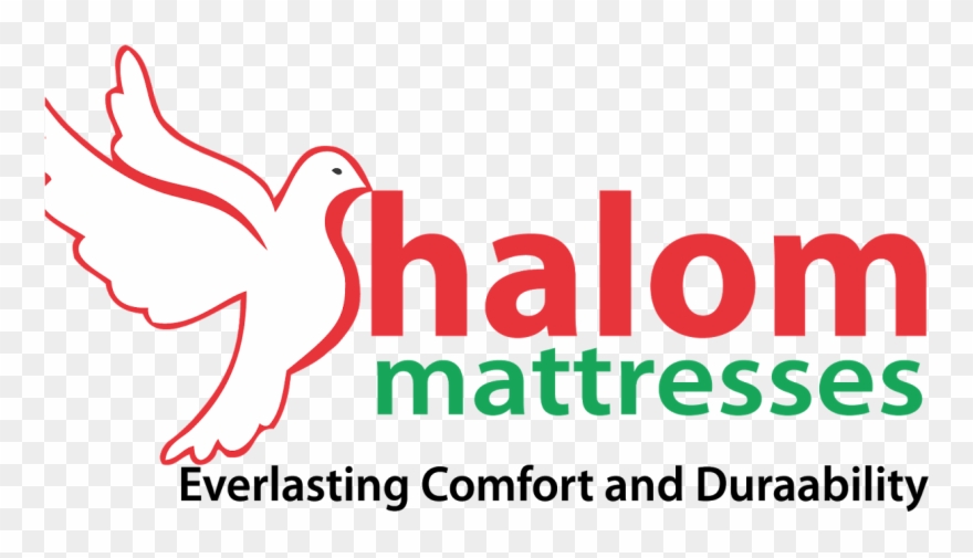 Untitled-1 - Shalom Mattress Logo Clipart