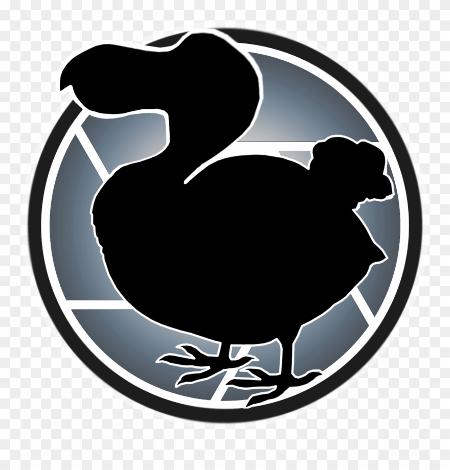 Duck Clipart