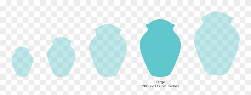 Commonly Phrased As Adult Urns These Typically Hold - Vase Clipart