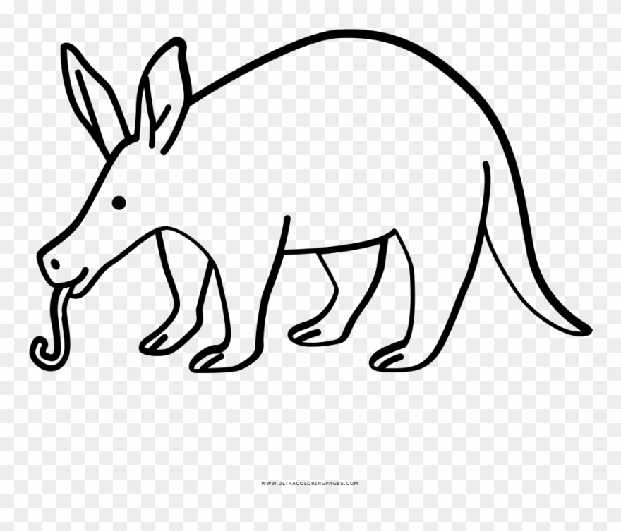 Aardvark Coloring Page - Kangaroo Clipart