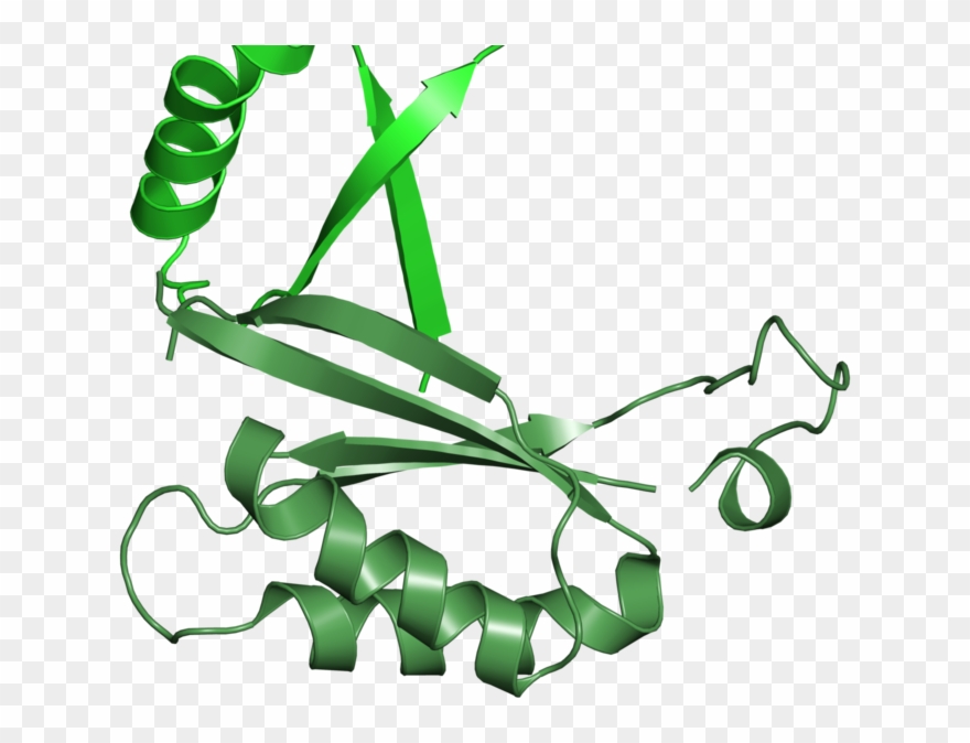 <div Class='caption-body'>1 Copy Of Cath Domain - Graphic Design Clipart