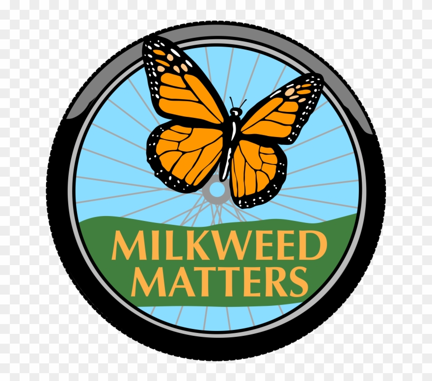 Monarch Butterfly Clipart