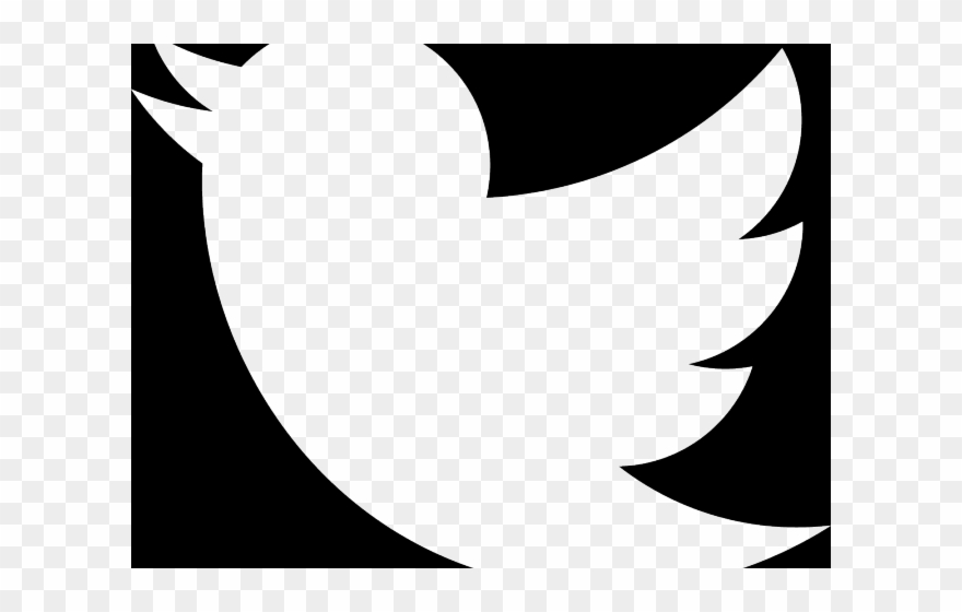 Instagram Clipart Transparent Background - Twitter Bird White Transparent - Png Download
