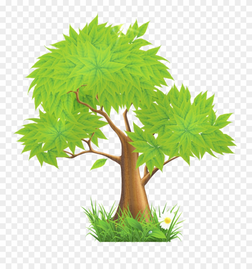 Clipart Images Of Trees - Trees Clip Art Png Transparent Png