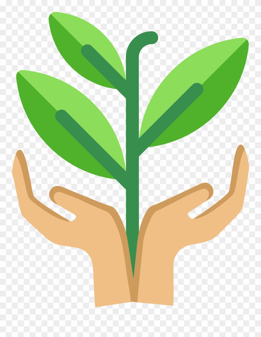 Q - Fun Dividers Png Clipart