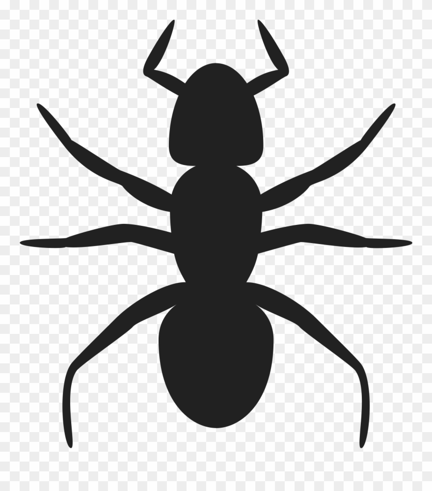 There Is 38 Ant Hill Free Cliparts All Used For Clipart - Ant Outline - Png Download