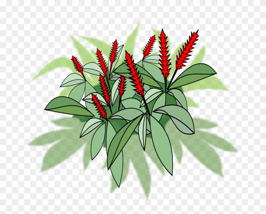 750 X 750 2 - Illustration Clipart