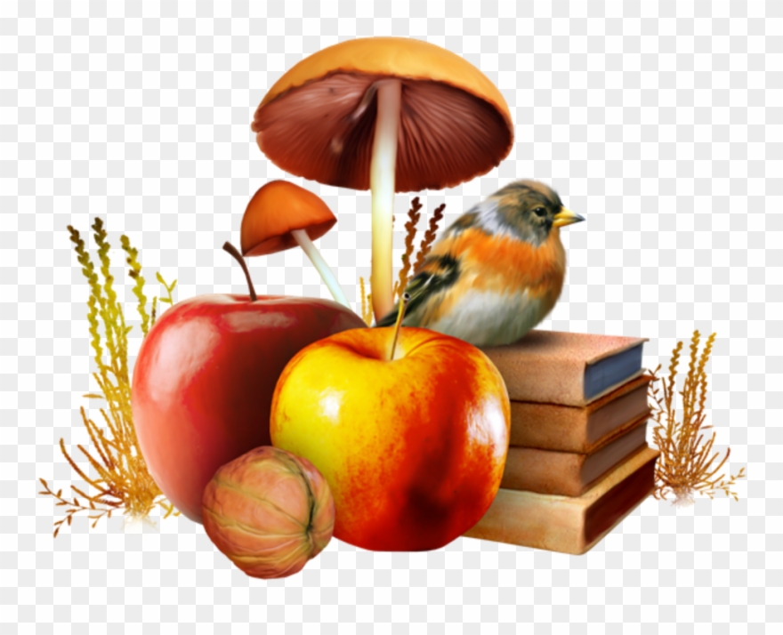 Diagram Network Wallpaper Desktop Autumn Graphics Portable - Poster About Mushrooms Clipart