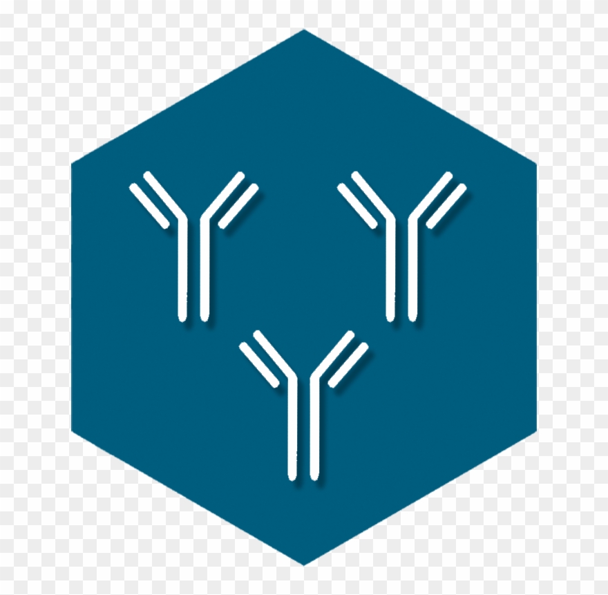 Polyclonal Antibodies - Graphic Design Clipart