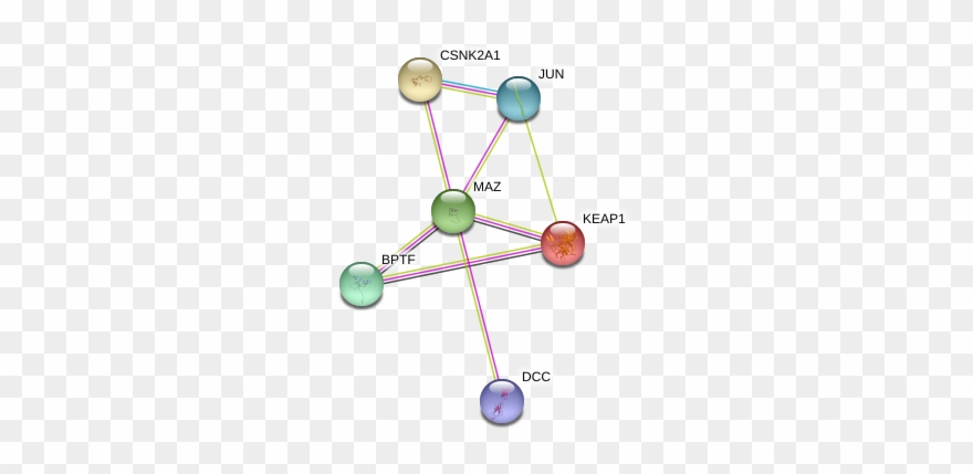 Banner Black And White Library Maz Gene Genecards Protein - Circle Clipart