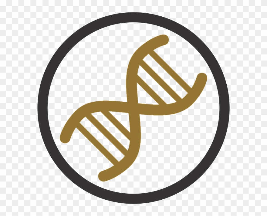 Genetics, Mathematics - Dna Clipart - Png Download