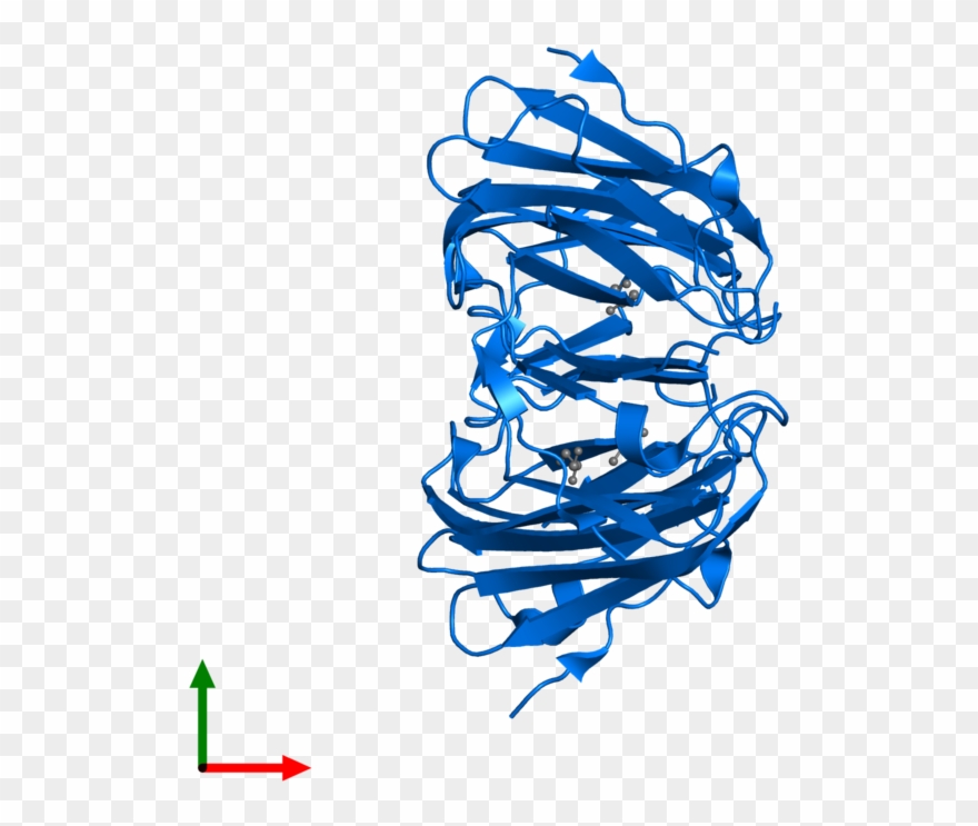 Heat Shock Protein Beta - Illustration Clipart