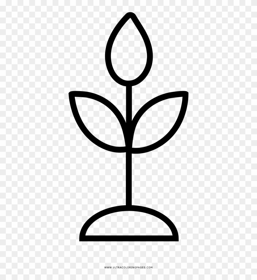 Herbs Coloring Page - Line Art Clipart