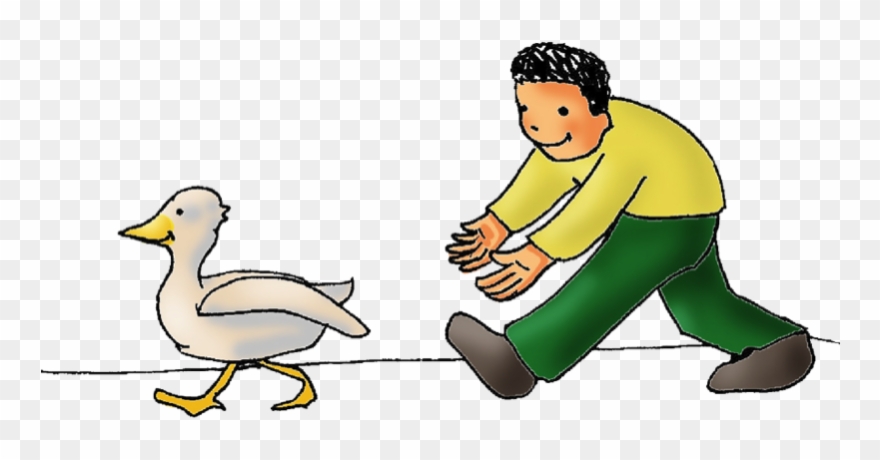 If Your Child Misses A Day, They Can Come On Another - Duck Clipart