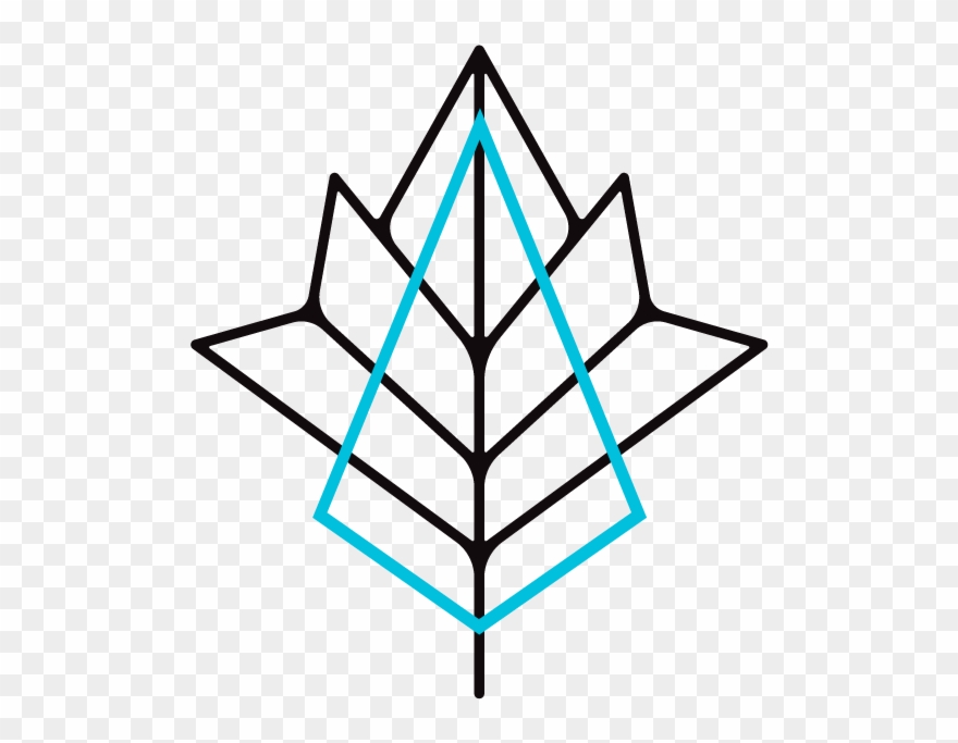 Maplefern - Spider Printables Clipart