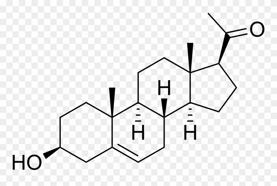 Wikipedia, La Enciclopedia Libre - 17 Β Estradiol Clipart