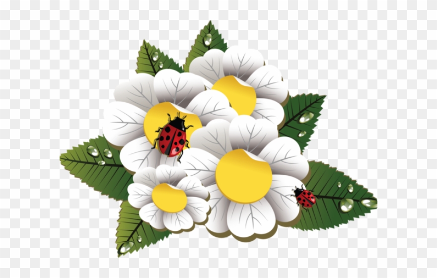 Flower Clipart