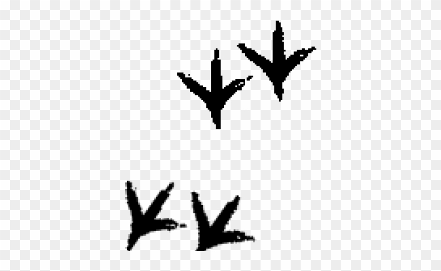 Chicken Clipart Track - Chicken Tracks - Png Download