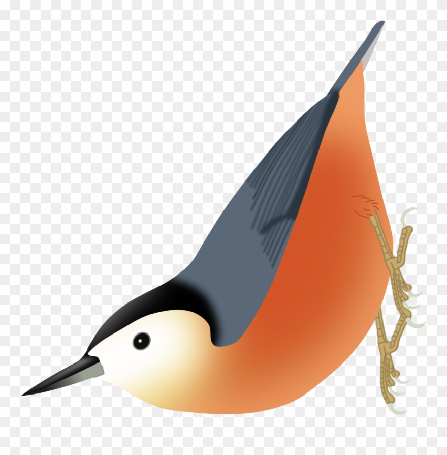 Swallow Clipart