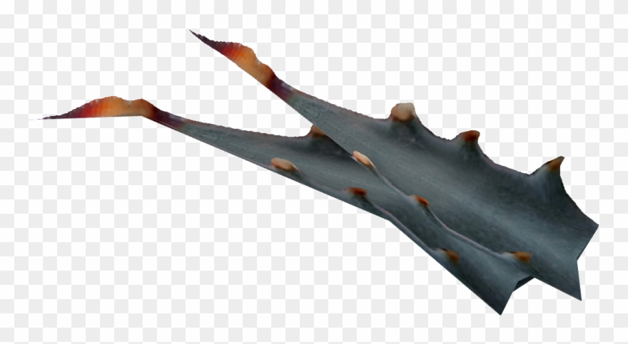 Nevada Agave Fruit - Nevada Fruit Clipart