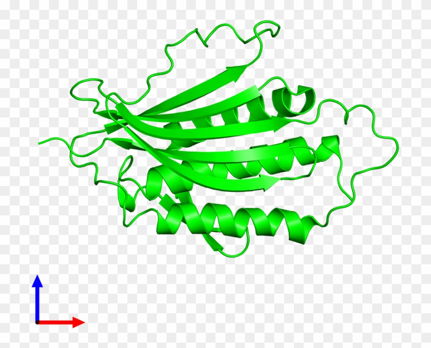 <div Class='caption-body'>1 Copy Of Cath Domain < - Illustration Clipart