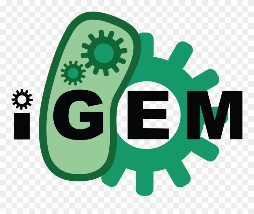 #meetsynbio - Synberc - International Genetically Engineered Machine Clipart
