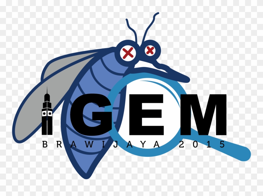 Team - Ub Indonesia/protocols - Illustration Clipart