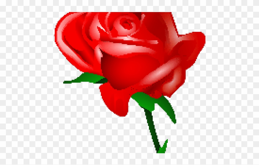 Red Rose Clipart Rad - Cartoon Red Rose Png Transparent Png