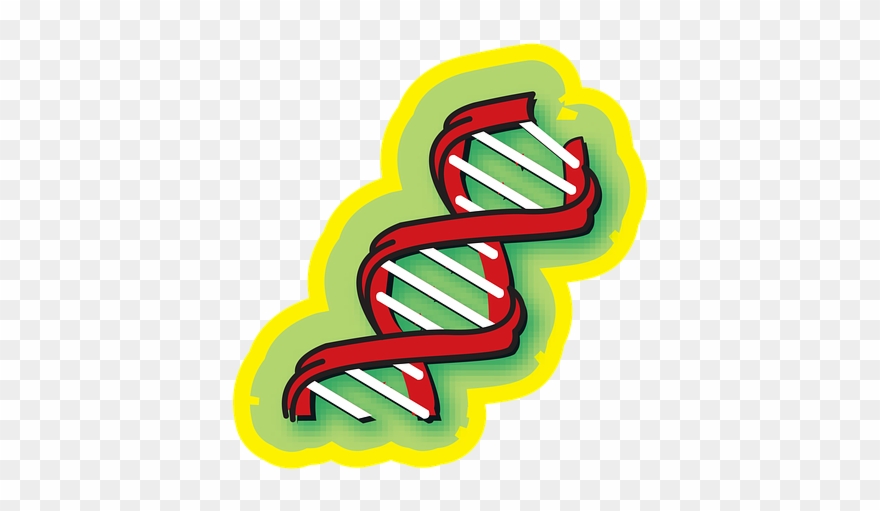 Chromosome, Medical, Science, Dna, Medicine, Genetic - Illustration Clipart