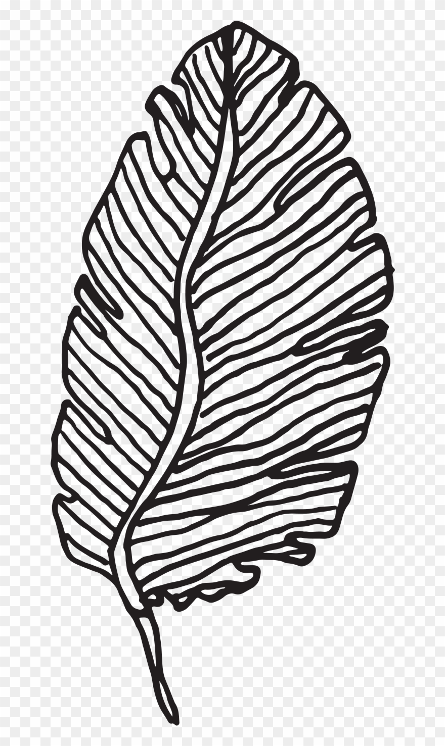 Secret Garden Wedding - Sketch Clipart