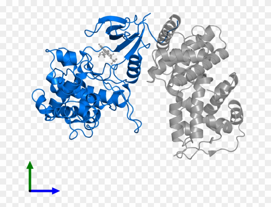 Entity 1, Front View - Illustration Clipart