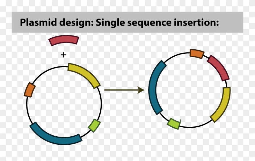 56, 19 January 2015 - Glass Inserts For Kitchen Cabinets Clipart