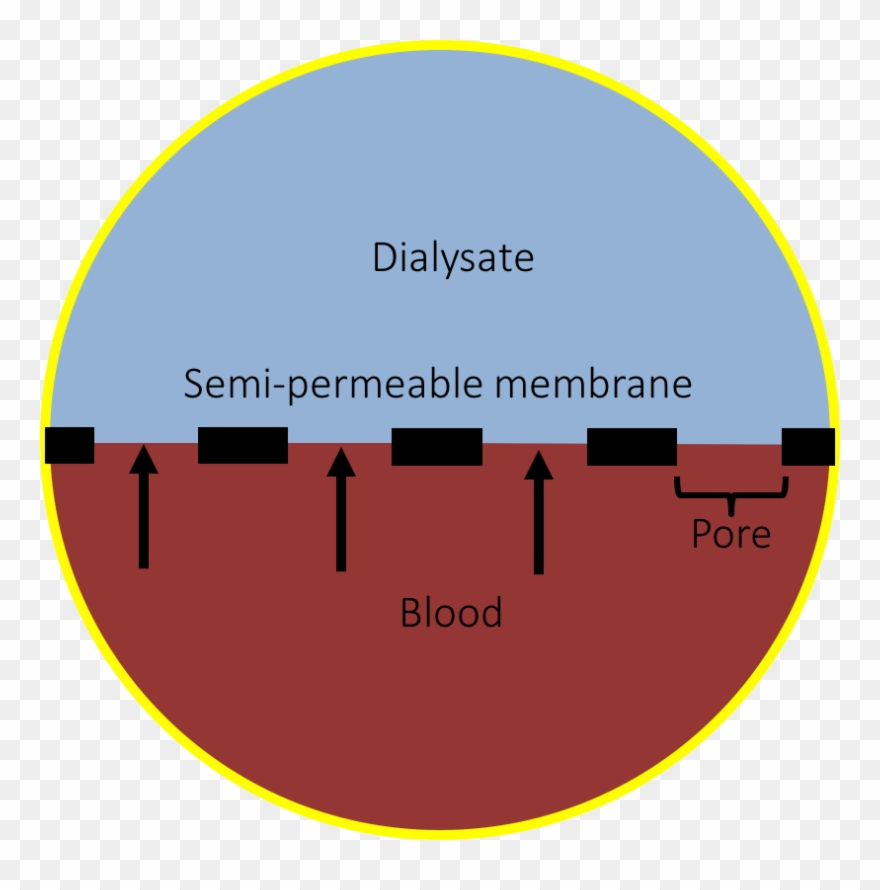 Convection - Circle Clipart