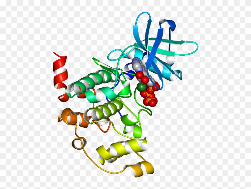 Molmil Generated Image Of 1a6o - Illustration Clipart