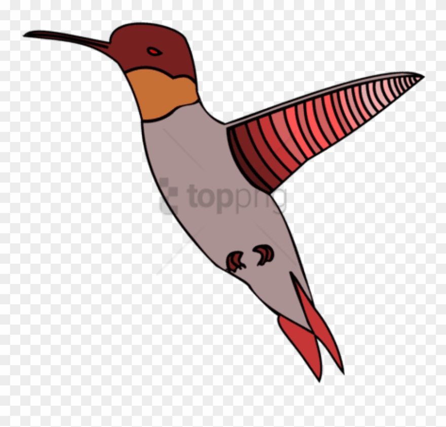 Free Png Hummingbird Watercolor Painting Computer Icons - Ruby-throated Hummingbird Clipart