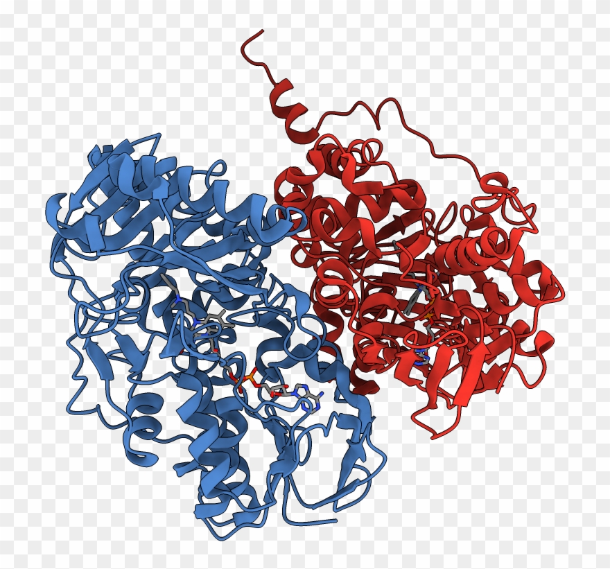 Asymmetric Unit - Illustration Clipart