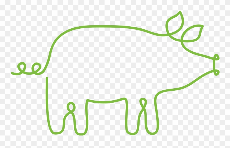 Supplements - Continuous Line Drawing Pig Clipart