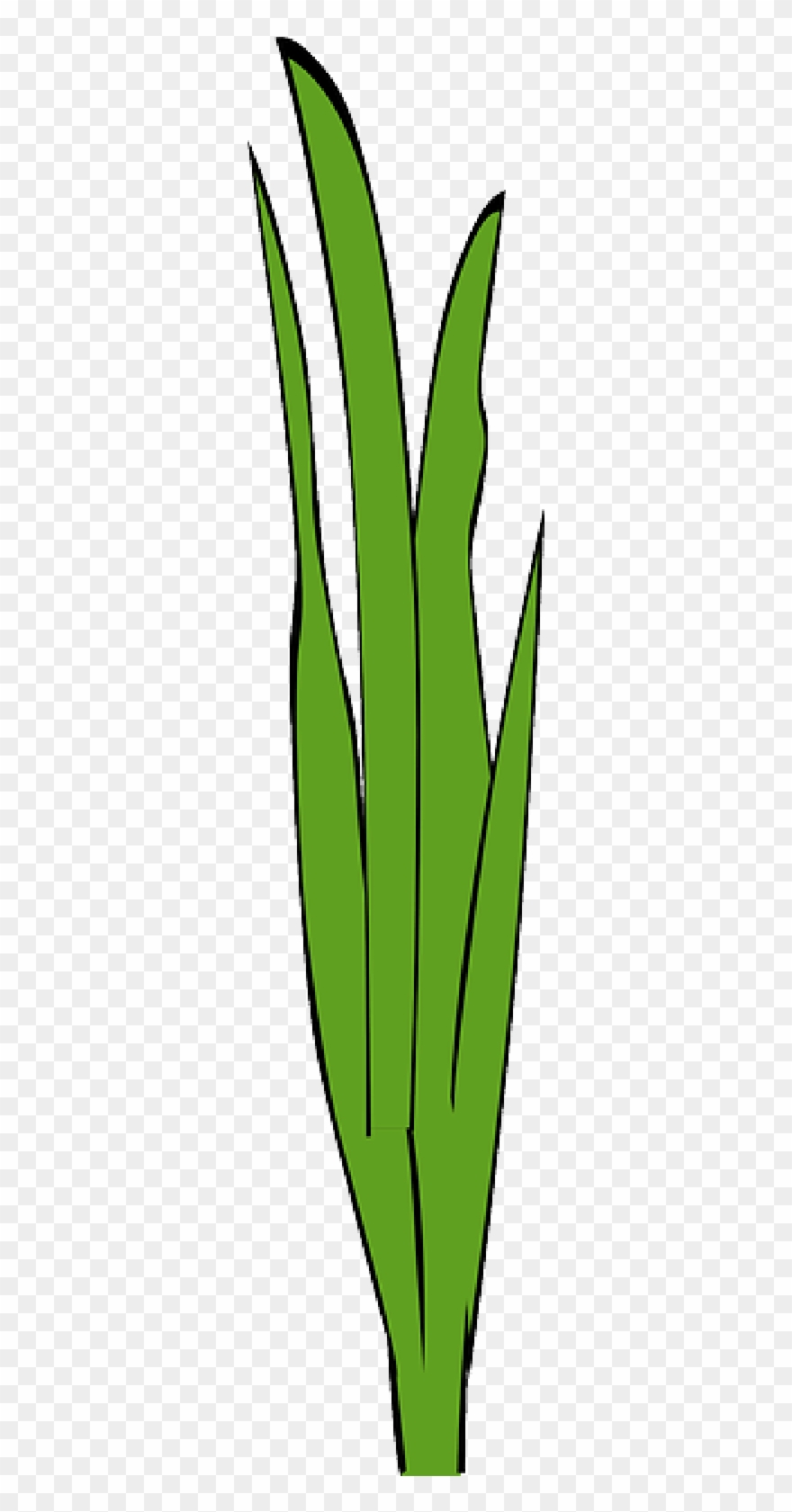 Marijuana Plant Transparent Background - Erva Daninha Png Clipart