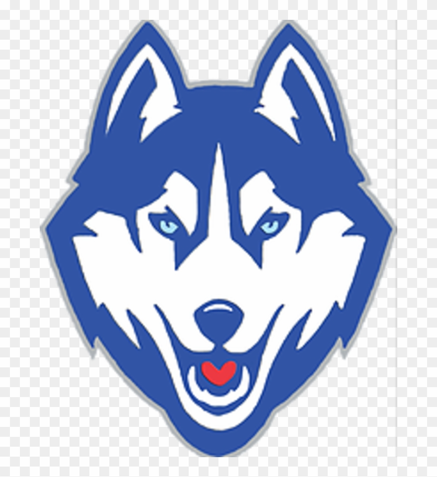 Husky Clipart Douglas County - Husky Face Clip Art - Png Download