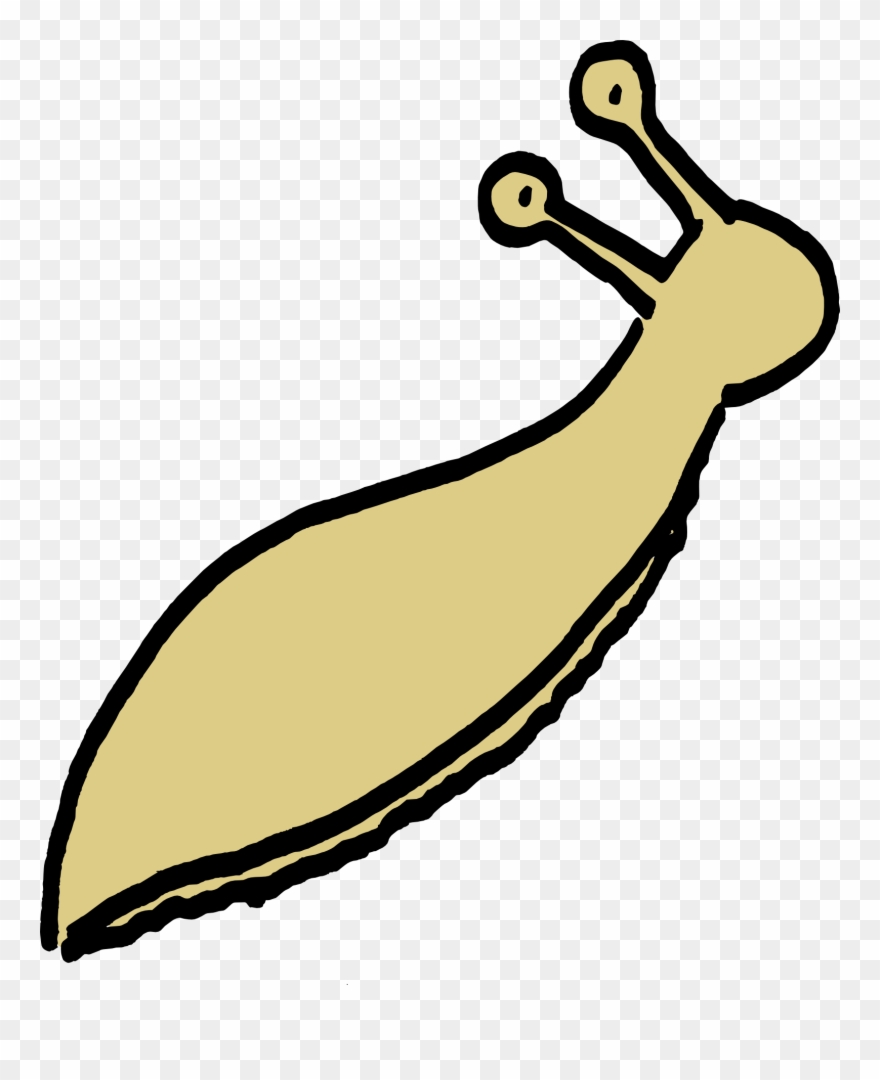 Slug Small Clipart