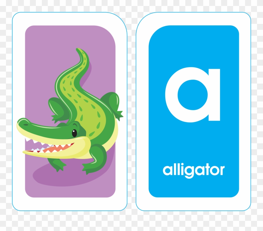 2048 X 2048 6 - Flashcard Clipart