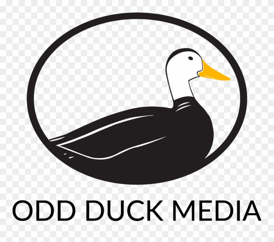 Seo Companies San Antonio - Duck Clipart