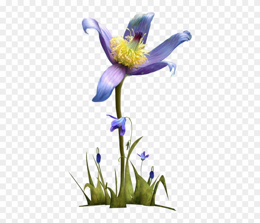 Tubes Fleurs Potted Flowers, Art Flowers, Flower Pots, - Pasqueflower Clipart