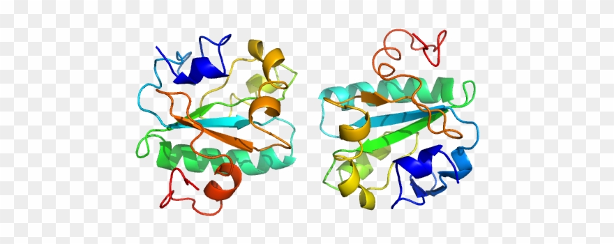 Pdb Model Clipart